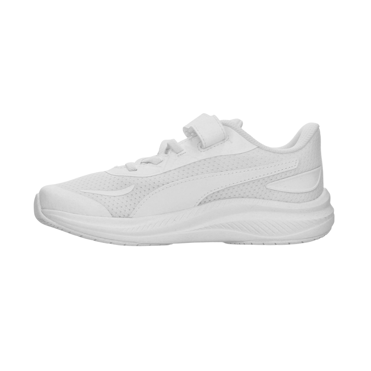 png_1500x1500_66962573